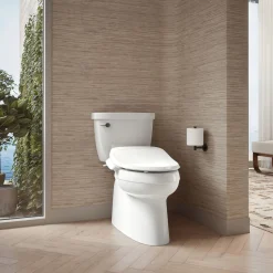 Elongated bidet toilet seat^Kohler Outlet