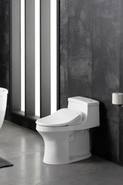 Elongated bidet toilet seat^Kohler Outlet