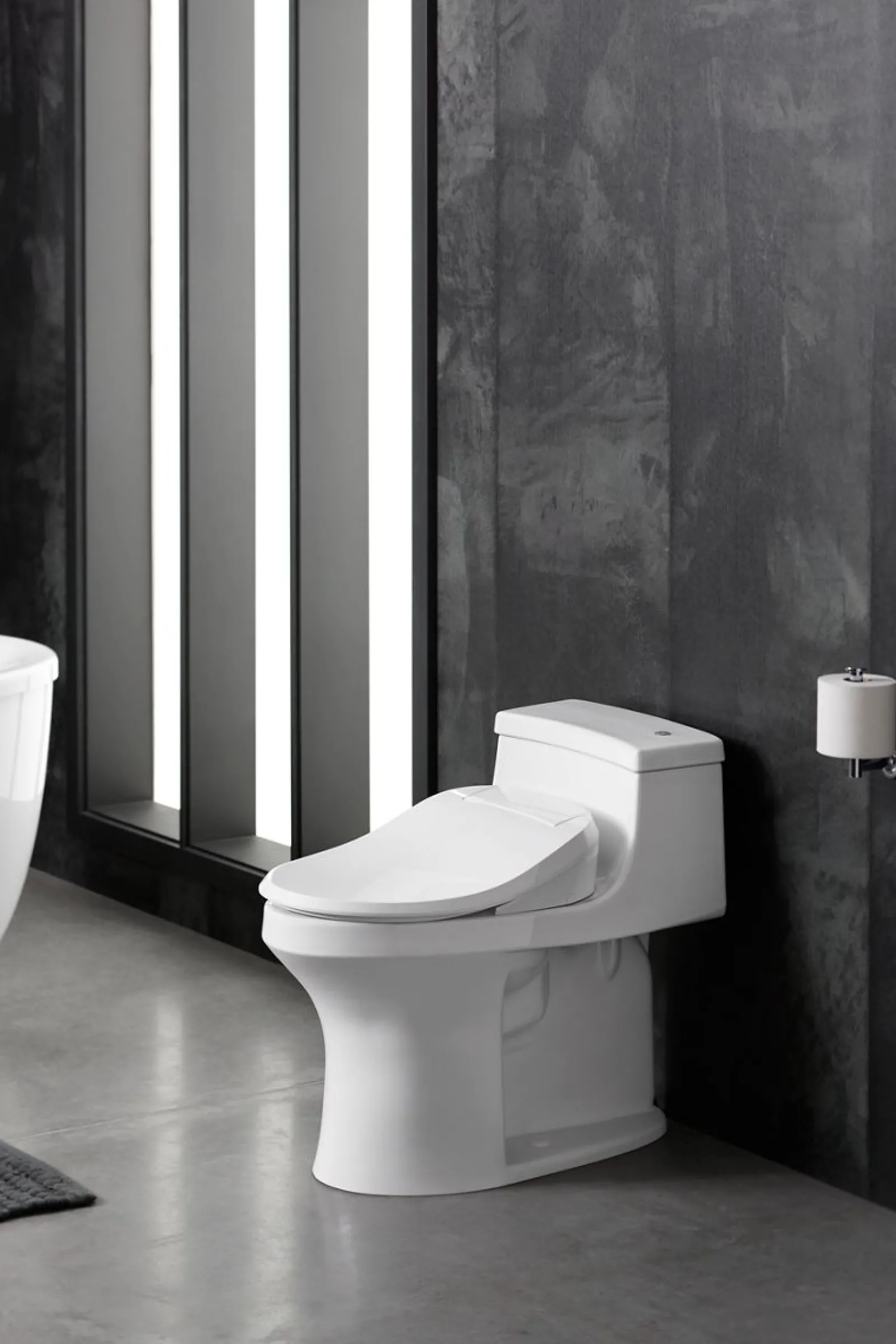 Elongated bidet toilet seat^Kohler Outlet
