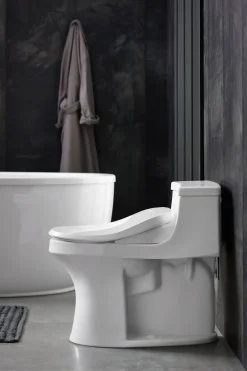 Elongated bidet toilet seat^Kohler Outlet