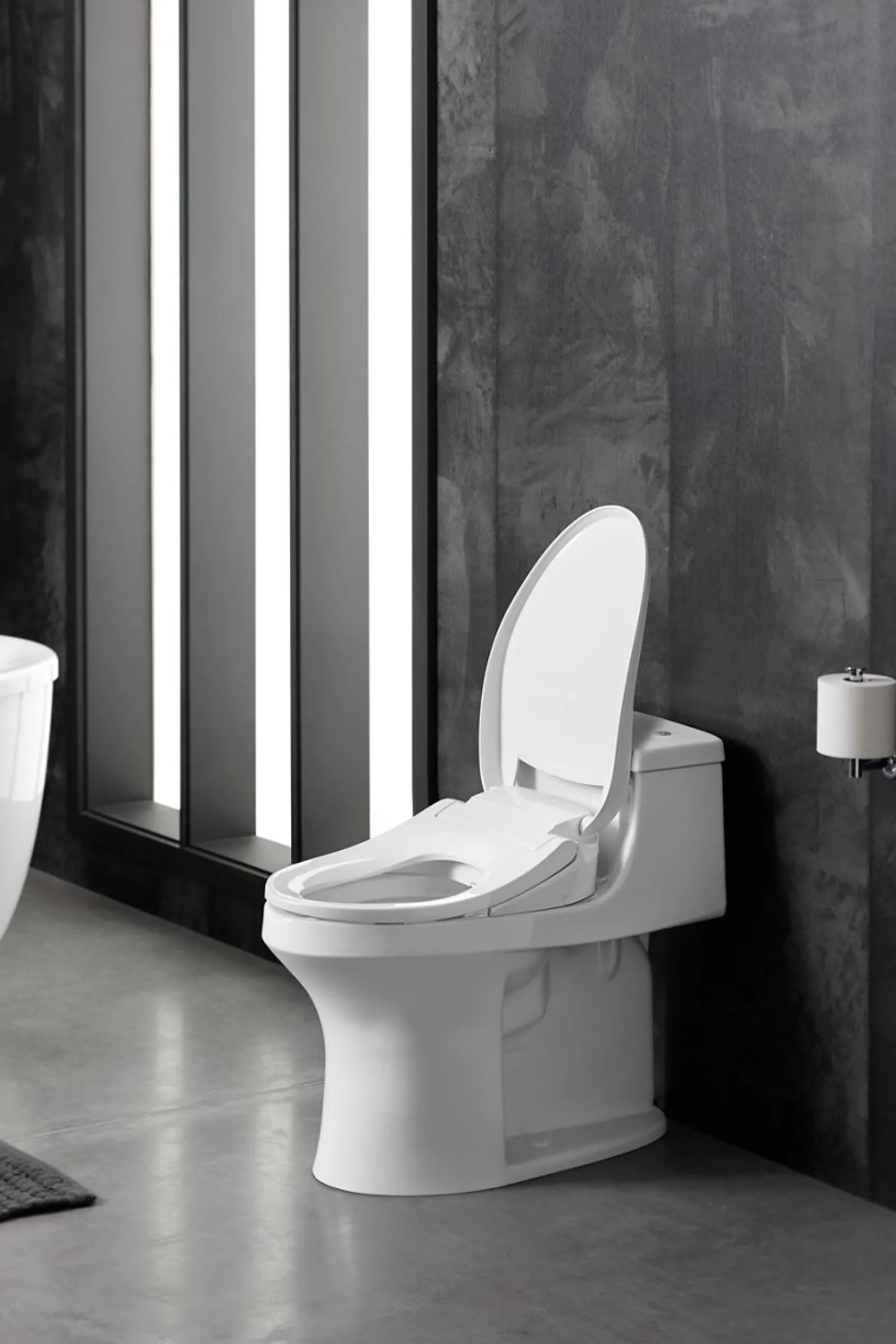 Elongated bidet toilet seat^Kohler Outlet