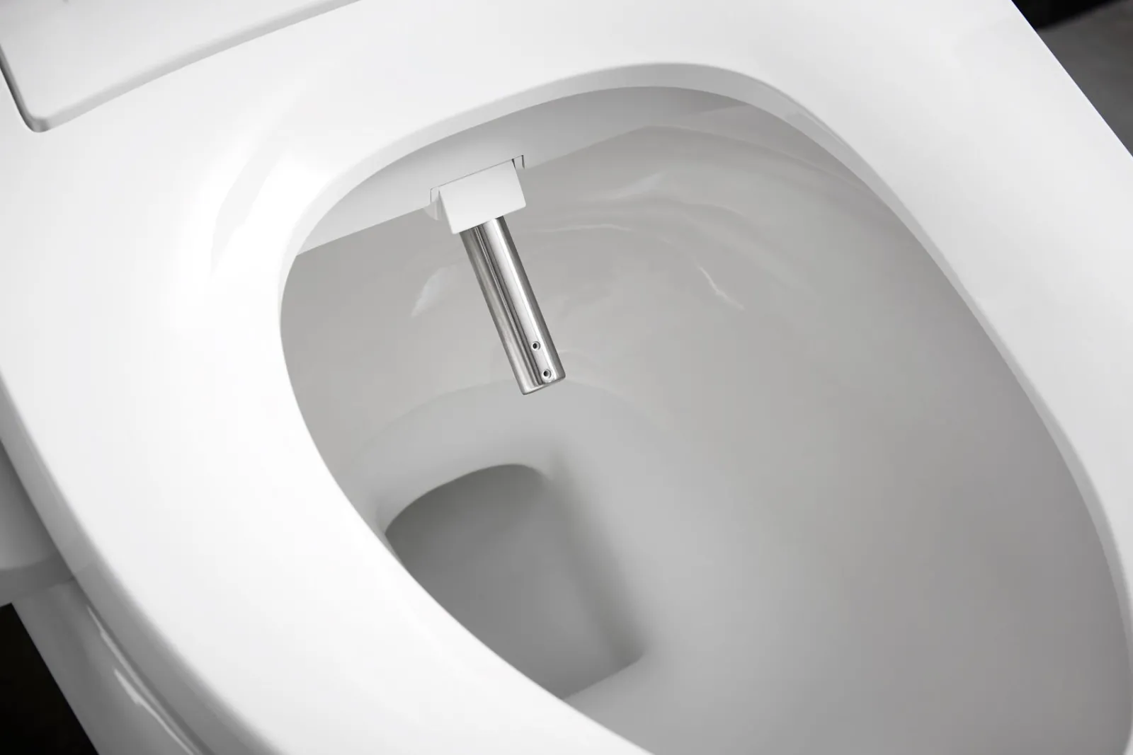 Elongated bidet toilet seat^Kohler Outlet