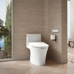 Elongated bidet toilet seat with remote control^Kohler Hot