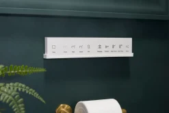 Elongated bidet toilet seat with remote control^Kohler Hot