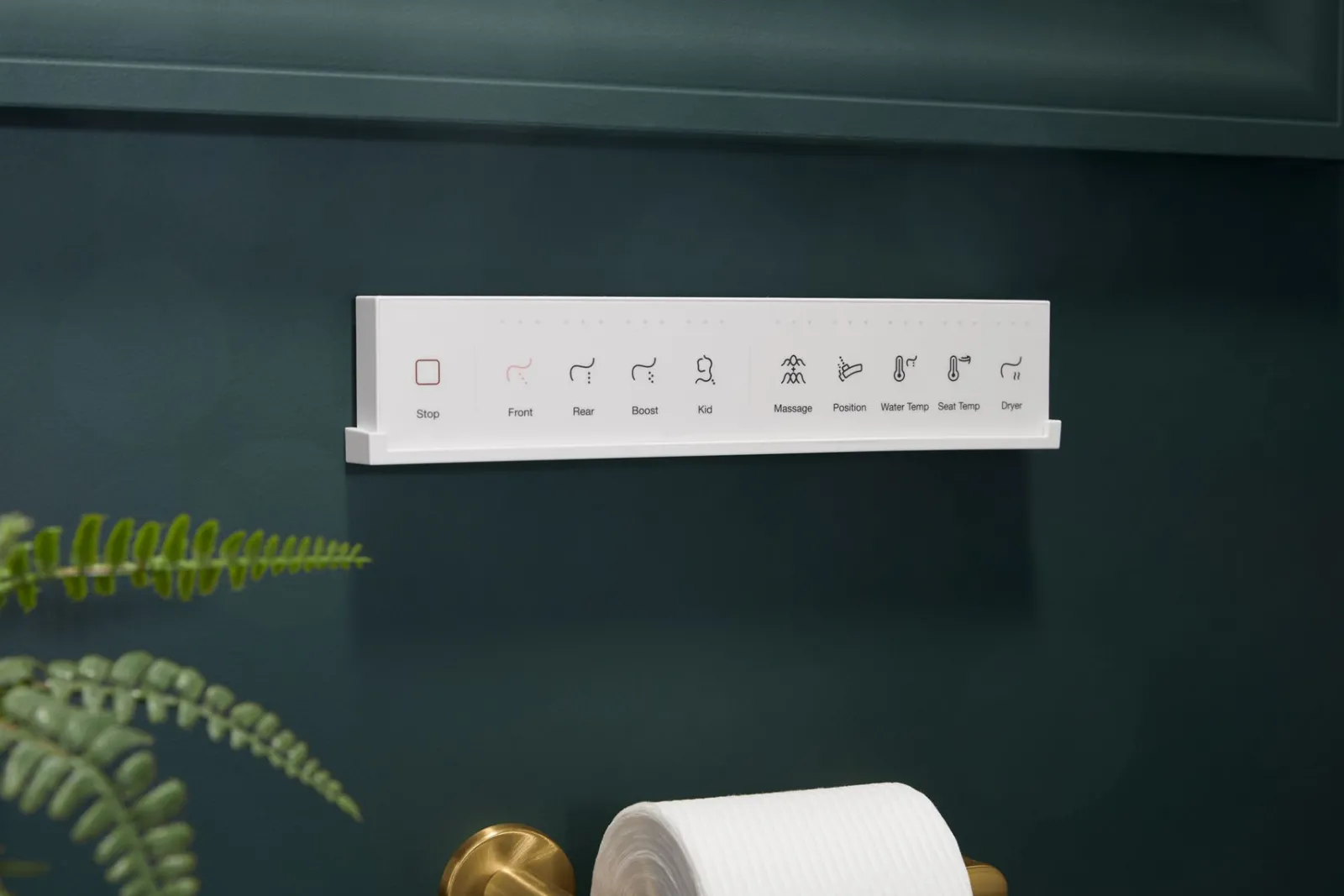 Elongated bidet toilet seat with remote control^Kohler Hot