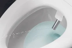 Elongated bidet toilet seat with remote control^Kohler Hot