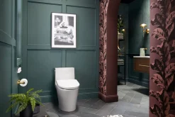 Elongated bidet toilet seat with remote control^Kohler Hot