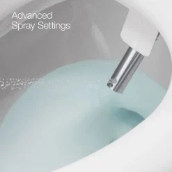Elongated bidet toilet seat with remote control^Kohler