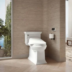 Elongated bidet toilet seat with remote control^Kohler