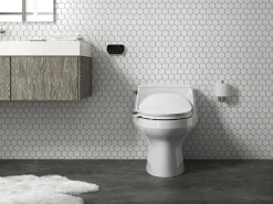 Elongated bidet toilet seat with remote control^Kohler