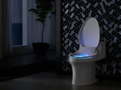 Elongated bidet toilet seat with remote control^Kohler