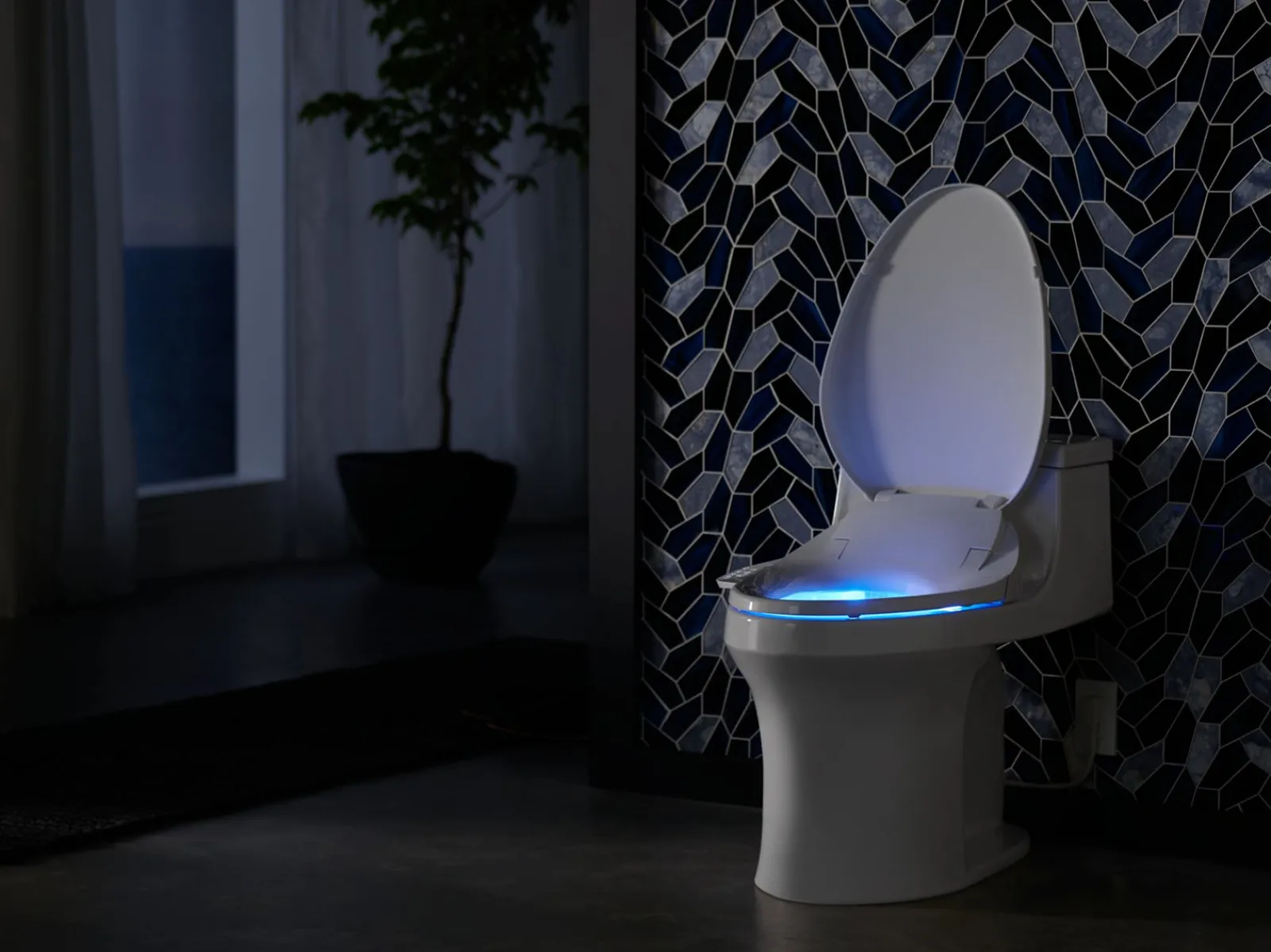 Elongated bidet toilet seat with remote control^Kohler