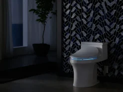 Elongated bidet toilet seat with remote control^Kohler