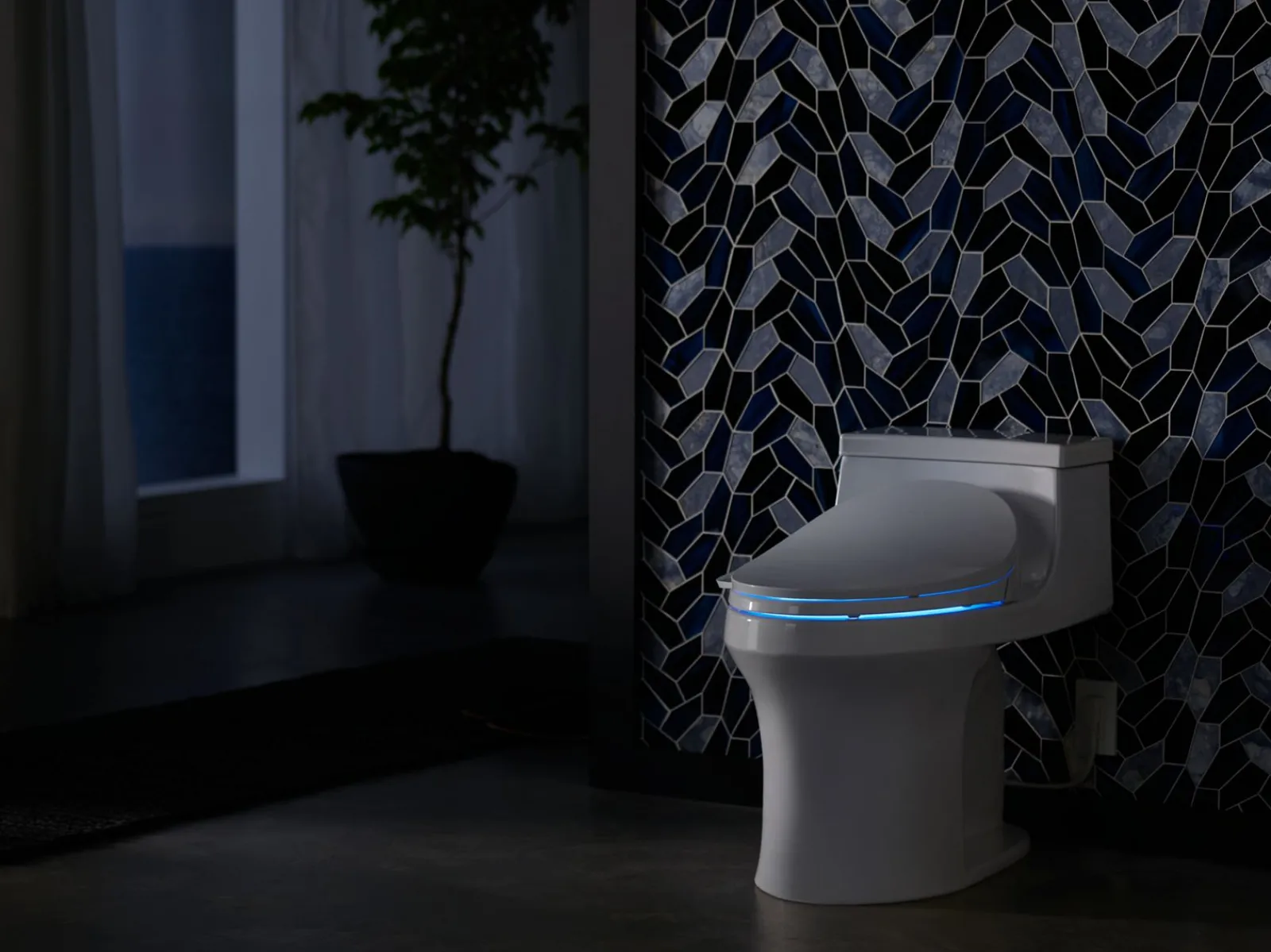 Elongated bidet toilet seat with remote control^Kohler