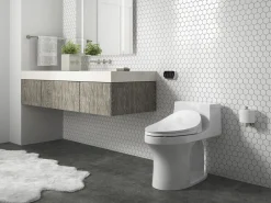 Elongated bidet toilet seat with remote control^Kohler