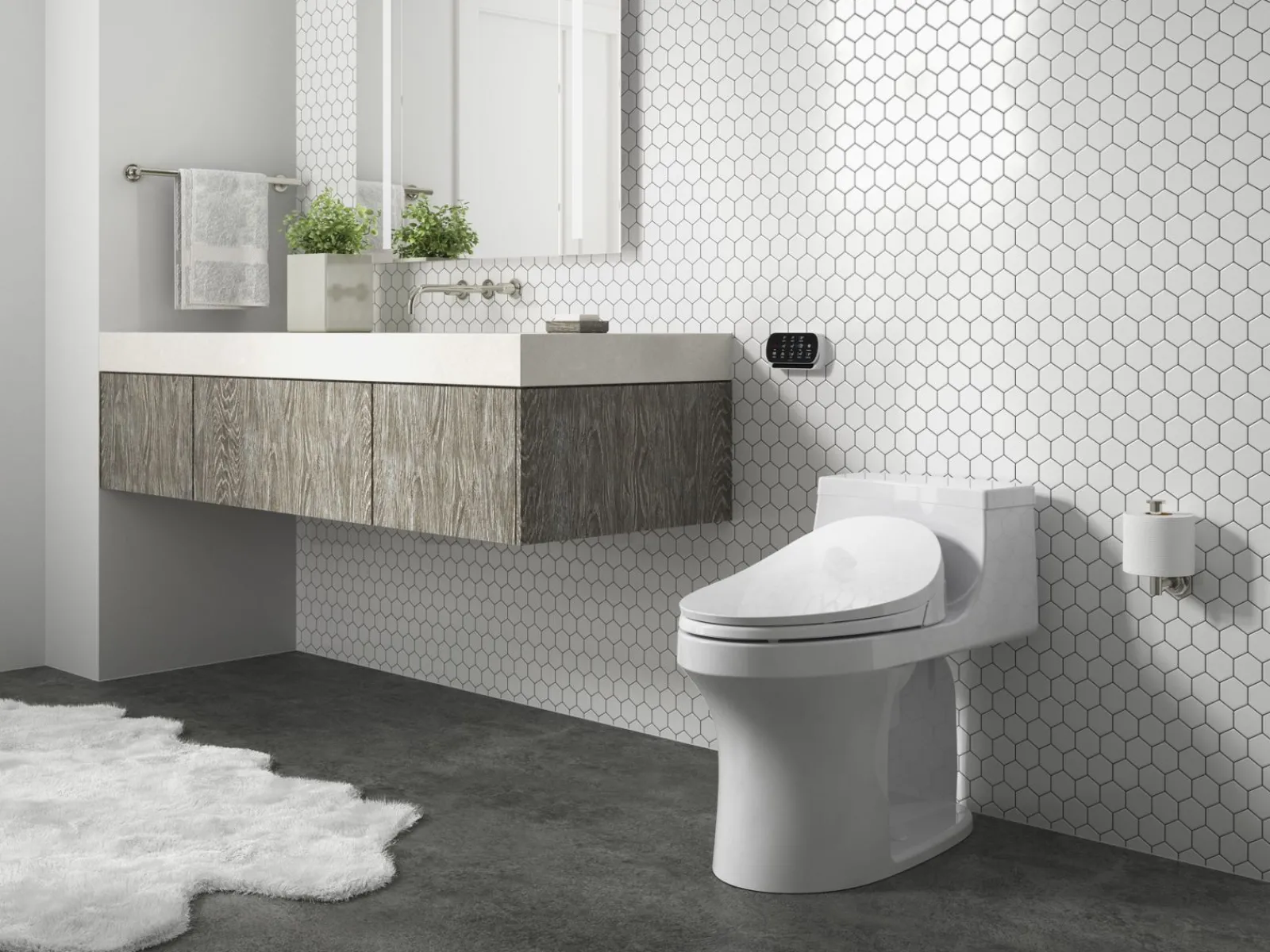 Elongated bidet toilet seat with remote control^Kohler