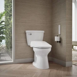 Elongated bidet toilet seat with remote control^Kohler Online