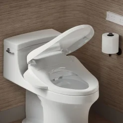 Elongated bidet toilet seat with remote control^Kohler Hot