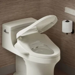Elongated bidet toilet seat with remote control^Kohler Hot