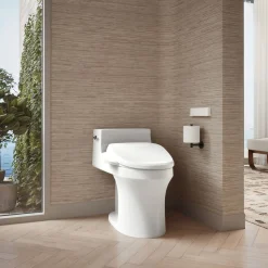 Elongated bidet toilet seat with remote control^Kohler Hot