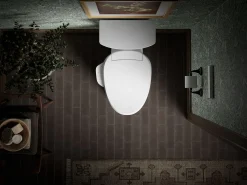 Elongated bidet toilet seat with remote control^Kohler Hot