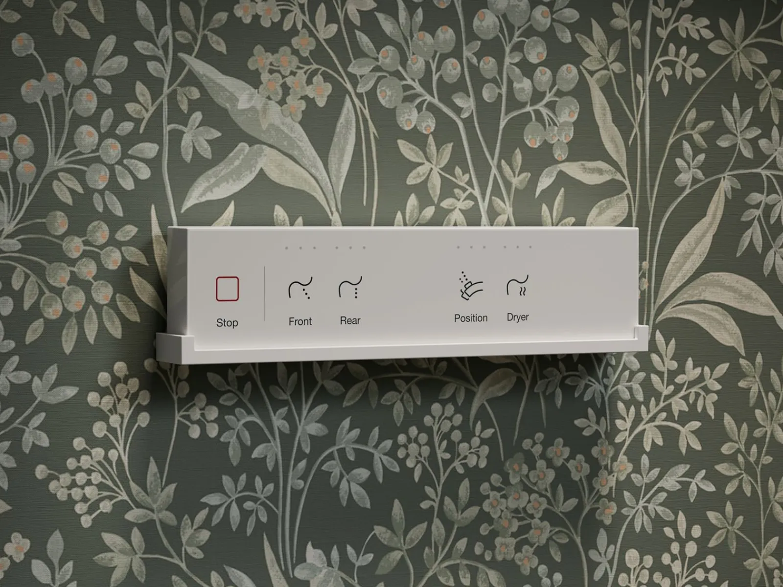 Elongated bidet toilet seat with remote control^Kohler Hot