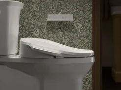 Elongated bidet toilet seat with remote control^Kohler Hot