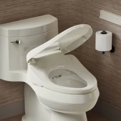 Elongated bidet toilet seat with remote control^Kohler Outlet