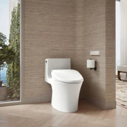 Elongated bidet toilet seat with remote control^Kohler Outlet