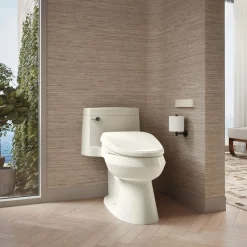 Elongated bidet toilet seat with remote control^Kohler Outlet