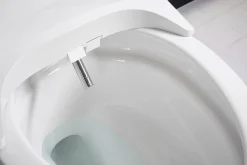 Elongated bidet toilet seat with remote control^Kohler Outlet