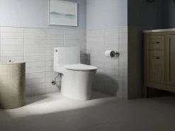 Elongated toilet seat^Kohler New