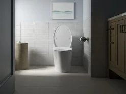 Elongated toilet seat^Kohler New