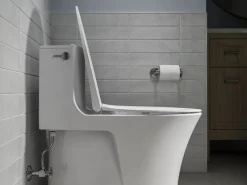 Elongated toilet seat^Kohler New