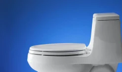 Elongated toilet seat^Kohler Online