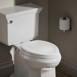 Elongated toilet seat^Kohler Online