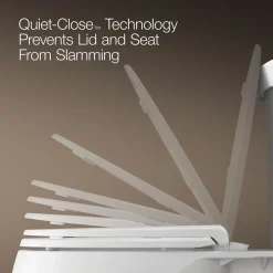 Heated round-front toilet seat^Kohler Outlet