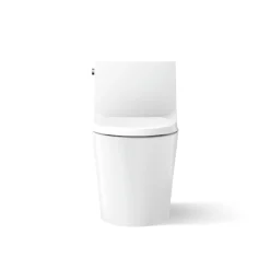Hidden cord one-piece elongated toilet with skirted trapway, dual-flush^Kohler Hot