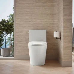 Hidden cord one-piece elongated toilet with skirted trapway, dual-flush^Kohler Hot