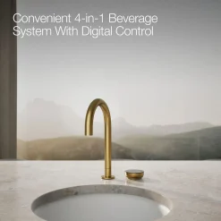 4-in-1 short arc beverage faucet^Kohler Outlet