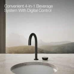 4-in-1 short arc beverage faucet^Kohler Outlet