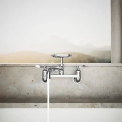Kitchen sink faucet^Kohler Discount