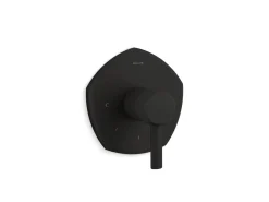 MasterShower® temperature control valve trim with lever handle^Kohler Outlet
