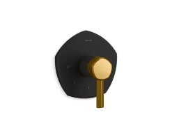 MasterShower® temperature control valve trim with lever handle^Kohler Outlet