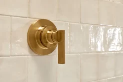 MasterShower® transfer valve trim with lever handle^Kohler Best