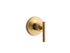 MasterShower® volume control valve trim with lever handle^Kohler Discount