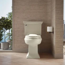 Nightlight ReadyLatch® Quiet-Close™ elongated toilet seat^Kohler Clearance