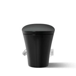 One-piece compact elongated smart toilet, dual-flush^Kohler Discount