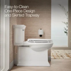 One-piece compact elongated toilet with skirted trapway, 1.28 gpf^Kohler Best