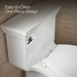 One-piece compact elongated toilet with skirted trapway, 1.28 gpf^Kohler Best